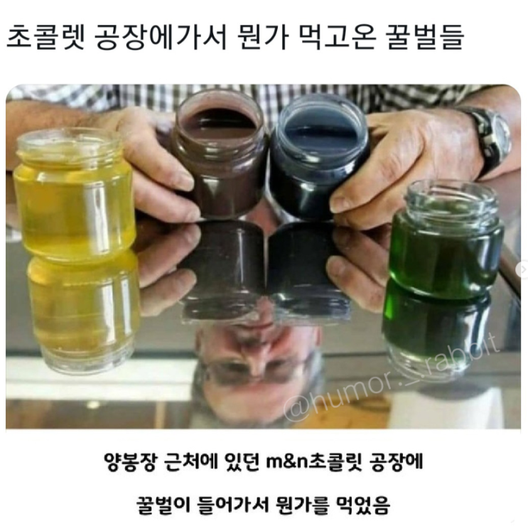  꿀벌의 일탈