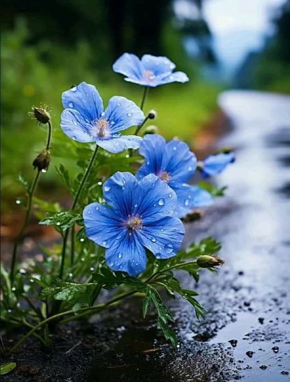   오늘의 생활정보 (2024-04-15, 월)