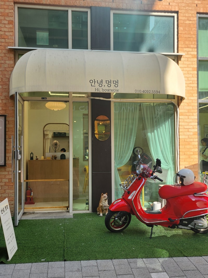 사진 4