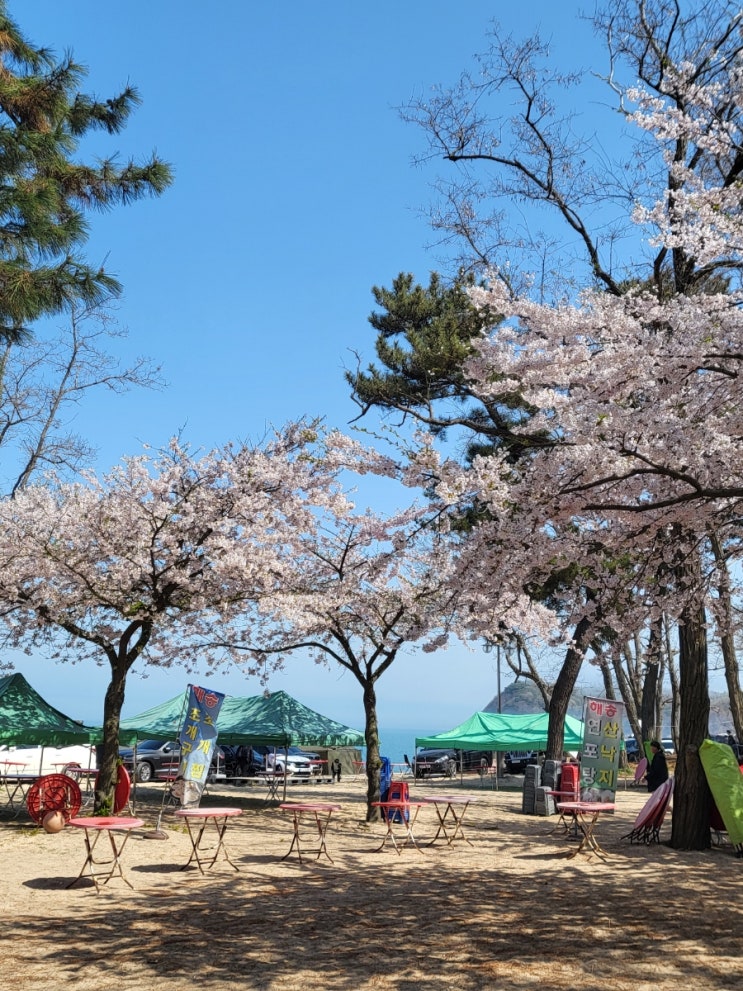  인천 실미도 유원지 1박2일 캠핑후기 (가격, 부대시설, 꿀팁)