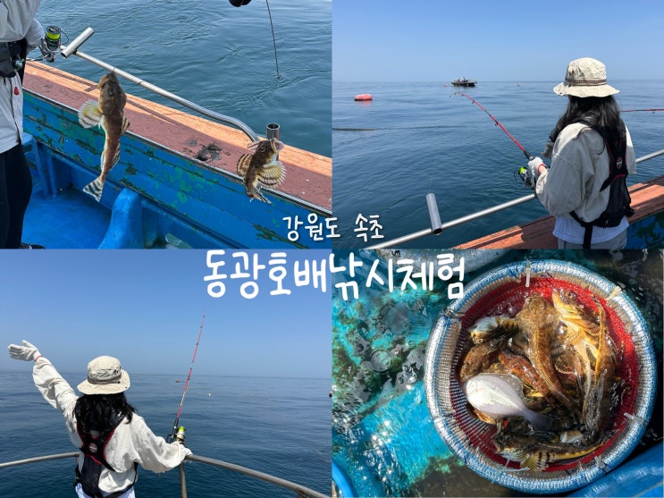  [강원도 속초]속초바다낚시 동광호배낚시체험 초보의 대구횟대, 가자미 대어 월척