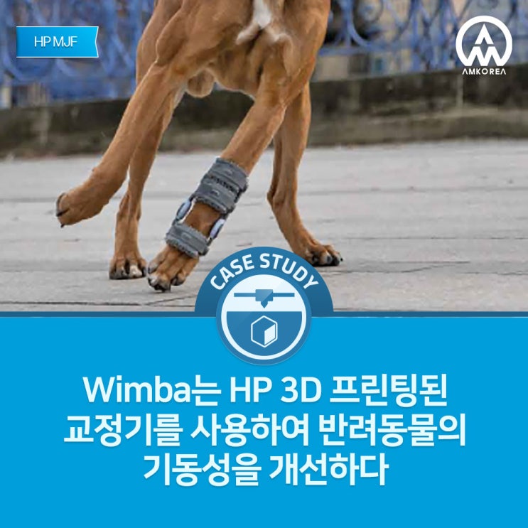  [HP MJF] Wimba는 HP 3D 프린팅된 교정기를 사용하여 반려동물의 기동성을 개선하다