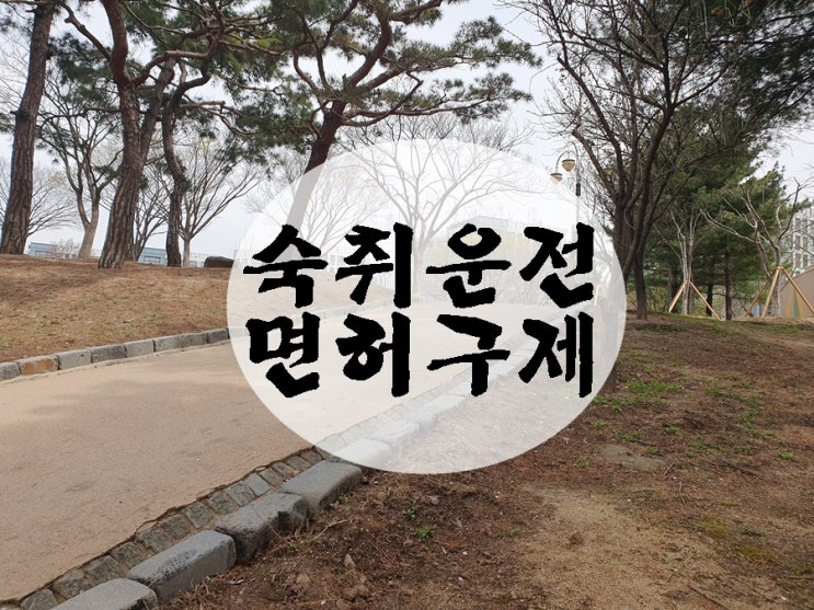  숙취운전 면허취소 음주 구제 실질적인 대책은