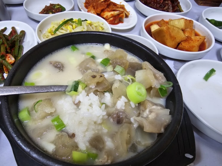  꼬리곰탕! 도가니탕!! 먹으러 목포에 왔탕!!