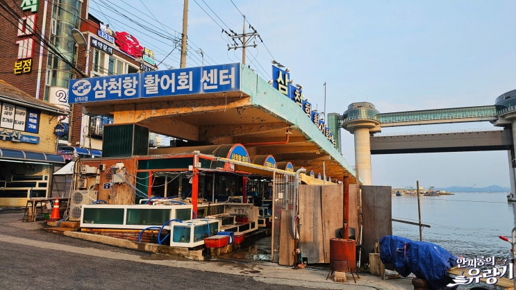  삼척 수산시장 둘러보기 삼척항 활어회센터 회포장