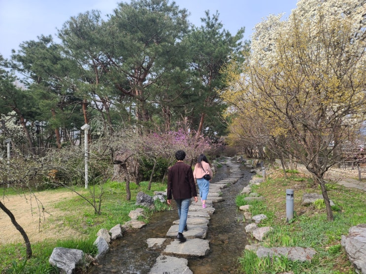 개편 시행되고 있는 지역가입자 건강보험료 소득정산제도