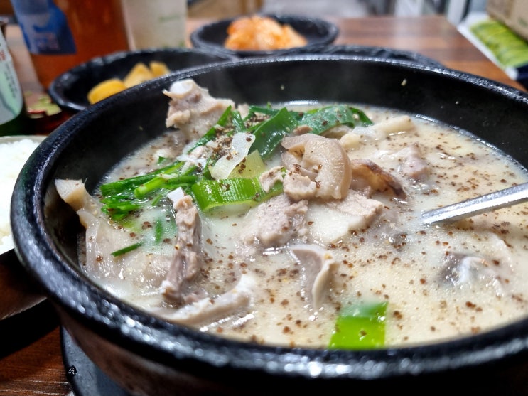  어른들의 김밥천국 혼밥하기 좋은 박지혜 순댓국