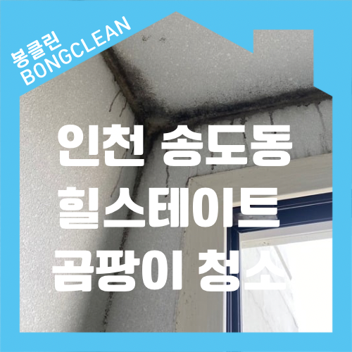  인천 연수구 송도동 송도달빛축제공원역 힐스테이트 더 테라스 곰팡이 청소