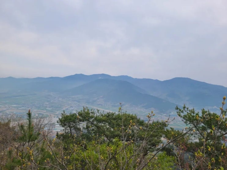 구례 오산 최단코스 등산(사성암 주차장~오산~오산 팔각정~원점)