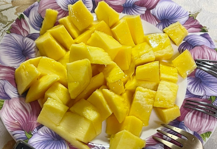  수수일상 : 입맛변해서 맛있는 음식 더 생김 다이어트망함