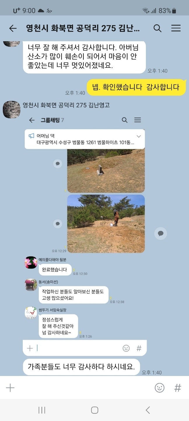  영천시 공덕리 봉분잔디 복원 및 제사용 평석 설치 고객 만족후기("울산벌초대행")