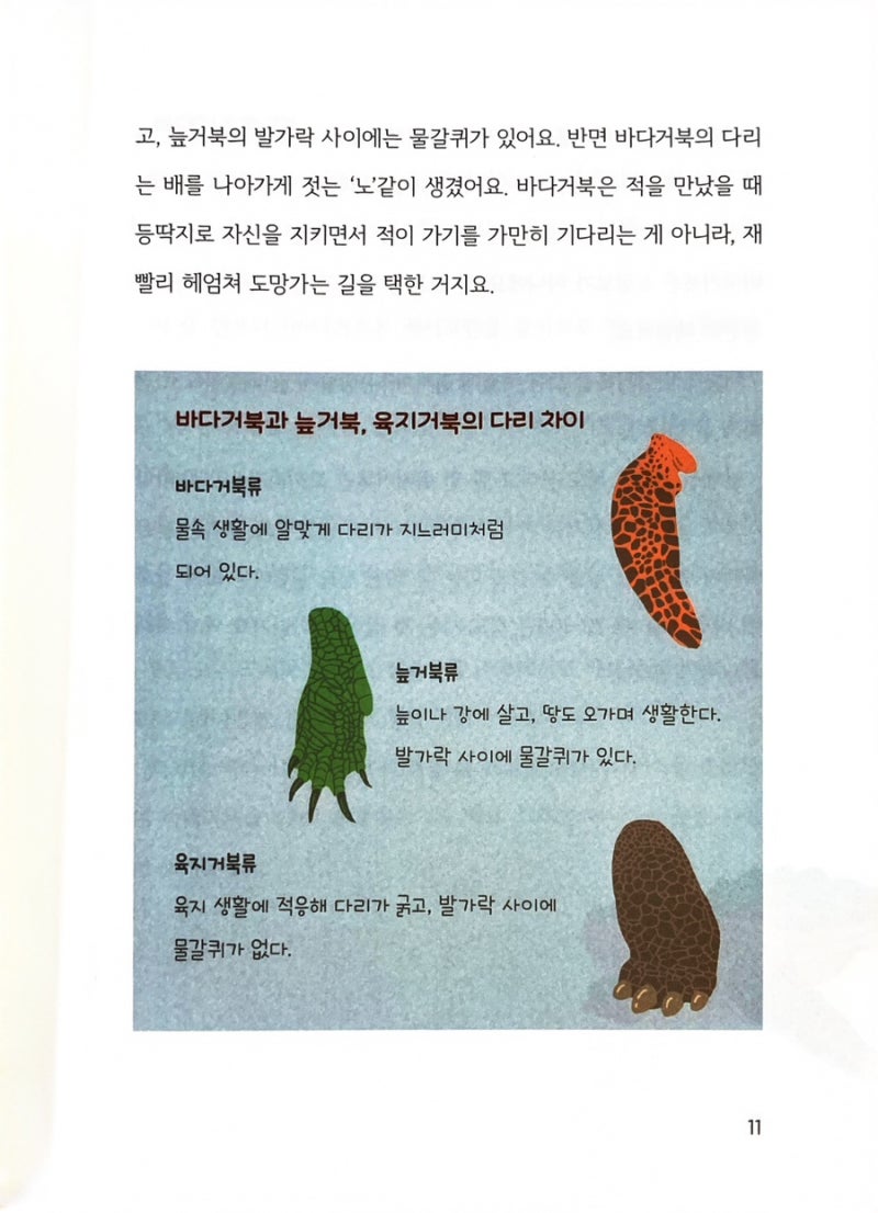 지리산천 아보카도는 중남미가 원산지인 과일로 부드러운 식감과 고소한 맛이 특징이다. 건강에 좋은 불포화지방산, 식이섬유, 비타민 E,  칼륨 등이 풍부하게 들어 있어 '슈퍼푸드'로도 불린다. -, image size:800x1106