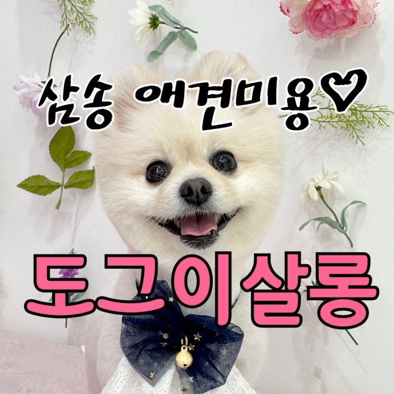 사진 2