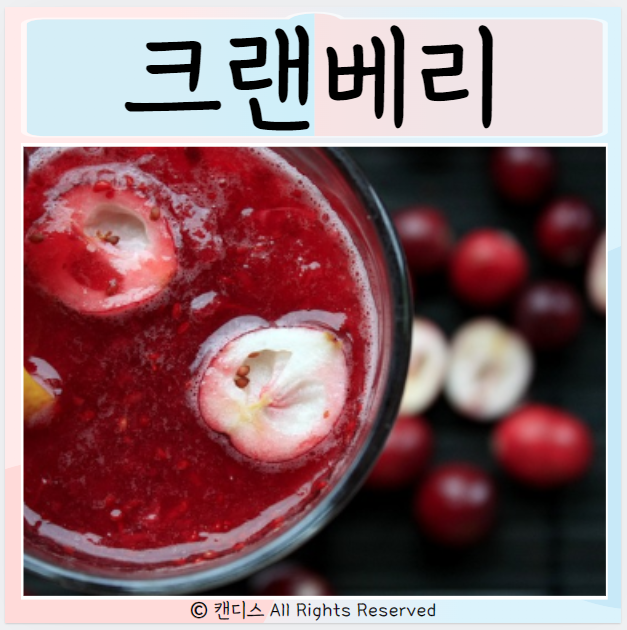  크랜베리 먹으면 좋은점 효능 부작용