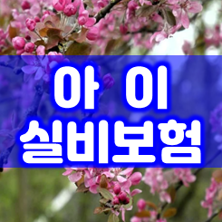 아이 실비보험 미리 가입해야 할 필요성과 실비 종류 및 가격 비교 시 따져봐야 할 주의사항