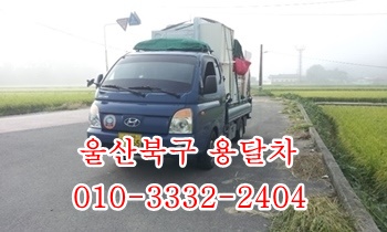  울산북구용달 정자 모화 입실 외동 제주도 울릉도 불국사.