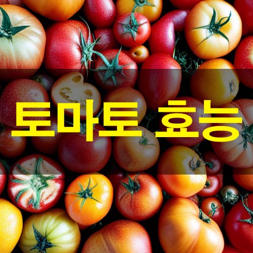  토마토 효능 및 부작용 하루 하나면 병원 갈 필요가 없다!