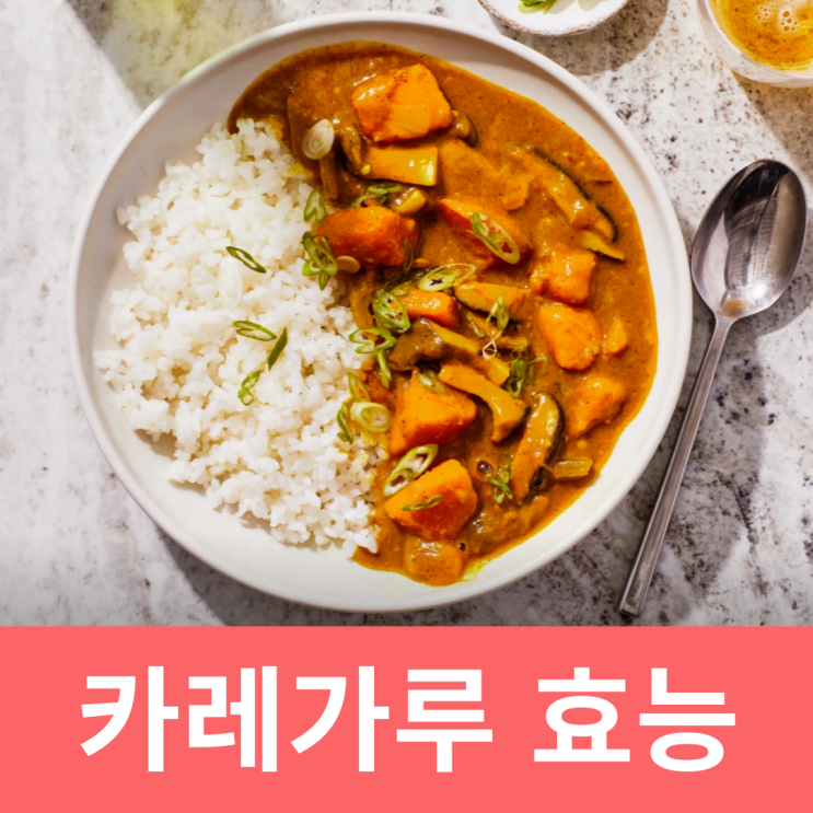 카레가루효능 강황가루의효능 커큐민 효능 부작용