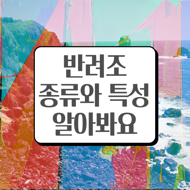  말하는 앵무새 종류 , 반려조관리사 자격증 온라인 교육으로 교육받고 합격한 후기 , 구인구직 채용 관련