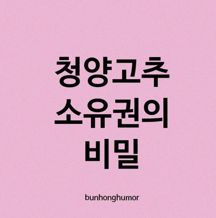  청양고추 소유권의 비밀