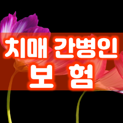  치매간병인보험 가입 조건 및 가격을 비교하는 방법을 알아두세요.