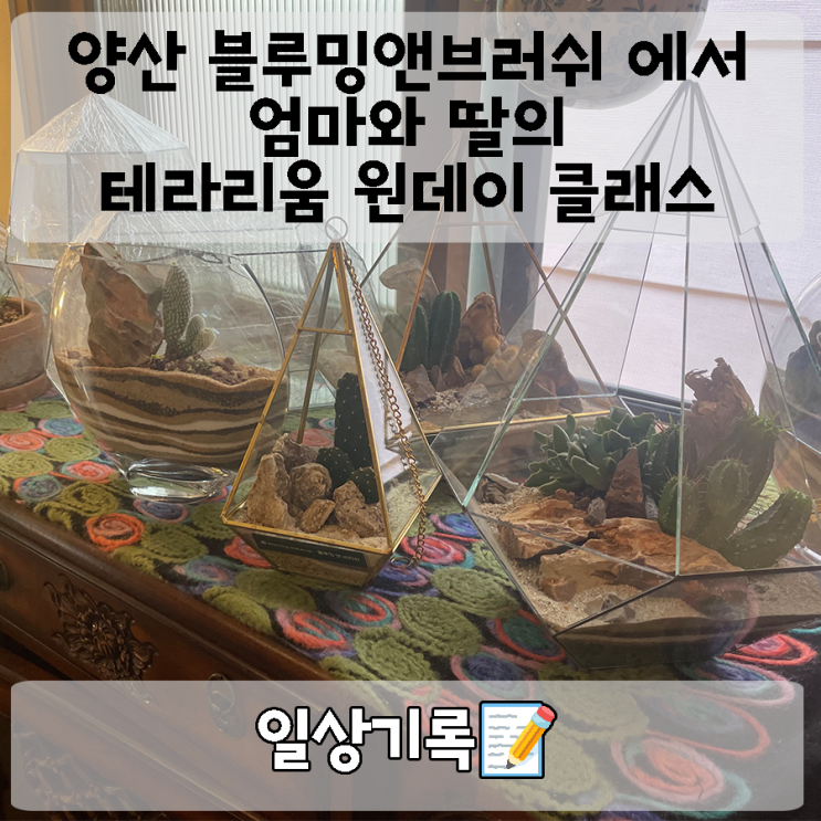  양산 공방 블루밍앤브러쉬에서 엄마와 함께 테라리움 만들기 : 식물과 유리 속의 마법같은 양산 원데이클래스