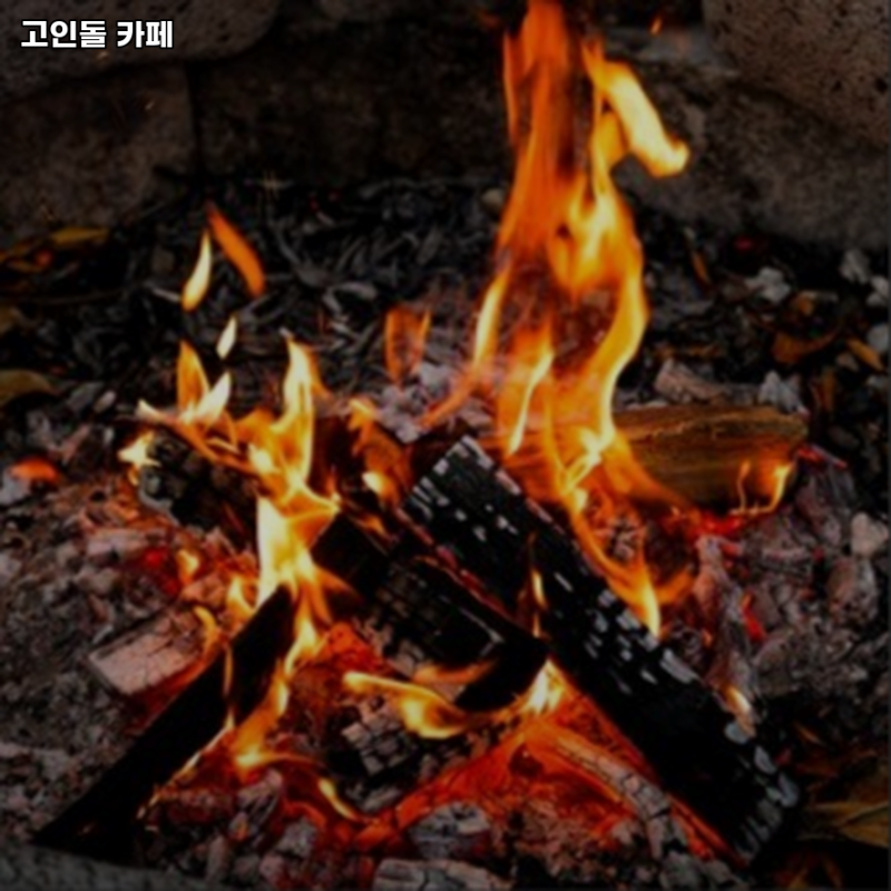 사진 3
