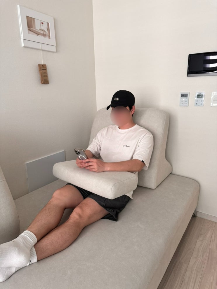  자취방에 에보니아 리코 아쿠아텍스 2인용 소파베드 내돈내산 리뷰/후기