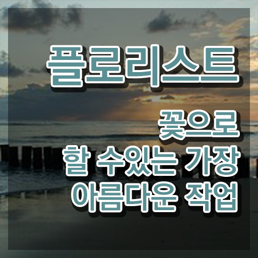 국화 꽃꽂이 , 플로리스트 자격증 취득한 방법 정리