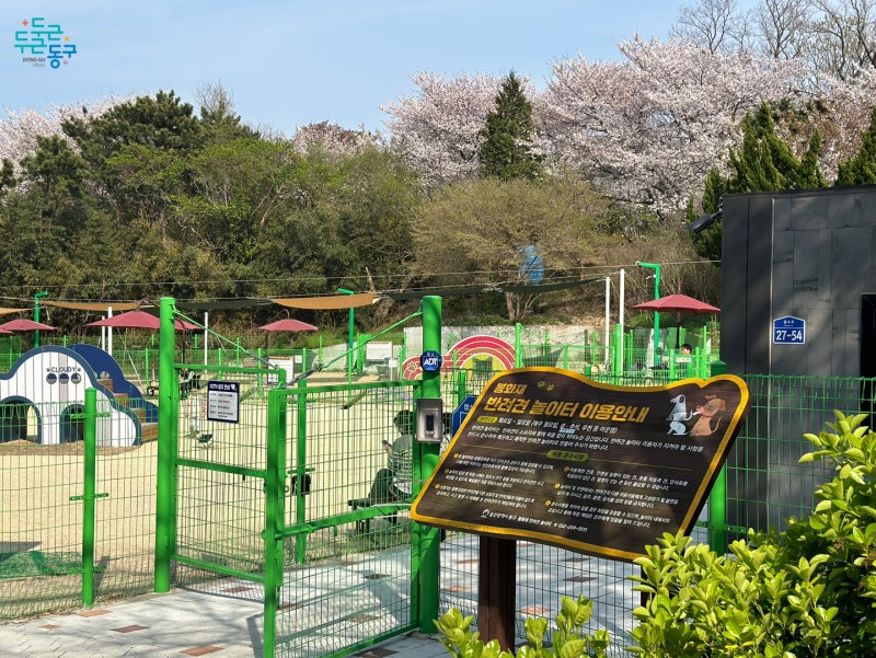 사진 3