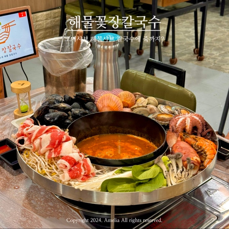  청초호맛집 속초 해물꽃장칼국수 재방문 필수 반려견동반