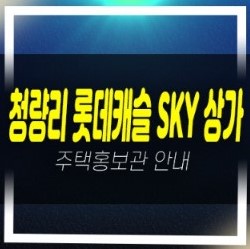  04-15 청량리역 롯데캐슬 SKY L-65 전농동 메디컬상권 상가 분양가 잔여호실 모델하우스 위치안내