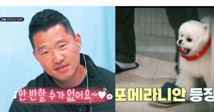 견<소금이>"KBS2 매주월요일저녁8시55분/강형욱/<b>이경규</b>/박세리