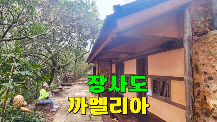 경남 가볼만한곳 거제 통영 여행코스 : 장사도해상공원 까멜리아 장사도유람선 배편 입장료 경남 가볼만한곳 거제 통영 여행코스 : 장사도해상공원 까멜리아 장사도유람선 배편 입장료