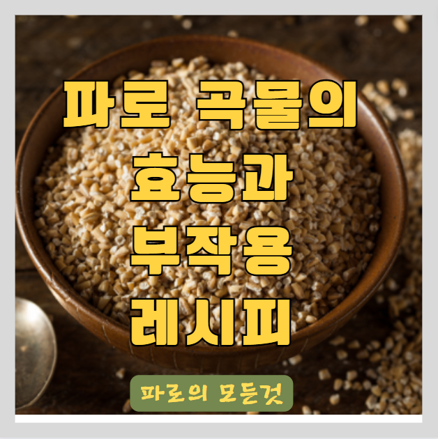  이탈리아 파로 곡물의 효능과 부작용 먹는법 - 당뇨와 혈당을 낮춰 다이어트에도 좋은 음식