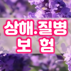  상해질병보험 가입의 필요성 및 보장내용과 가격 비교 시 주의할 점