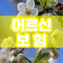  어르신보험 가입 가능한 종류 및 가격 비교할 때 알아두셔야 할 부분들