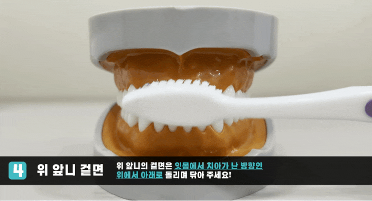  치아건강의 시작은 올바른 양치법 부터