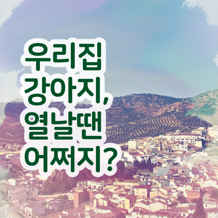  반려동물 종류 , 반려동물관리사 자격증 1급,2급 동시에 학습 후 취득방법 필수 정보