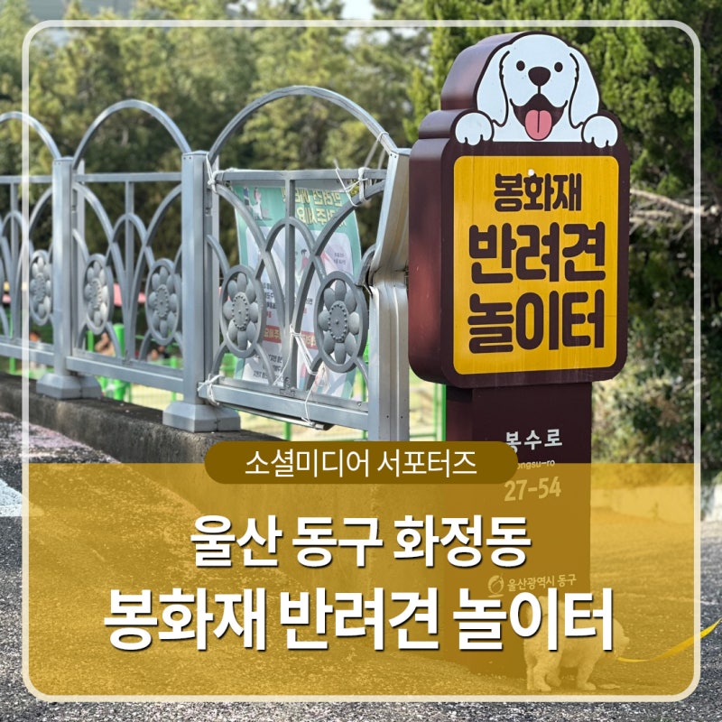 사진 2