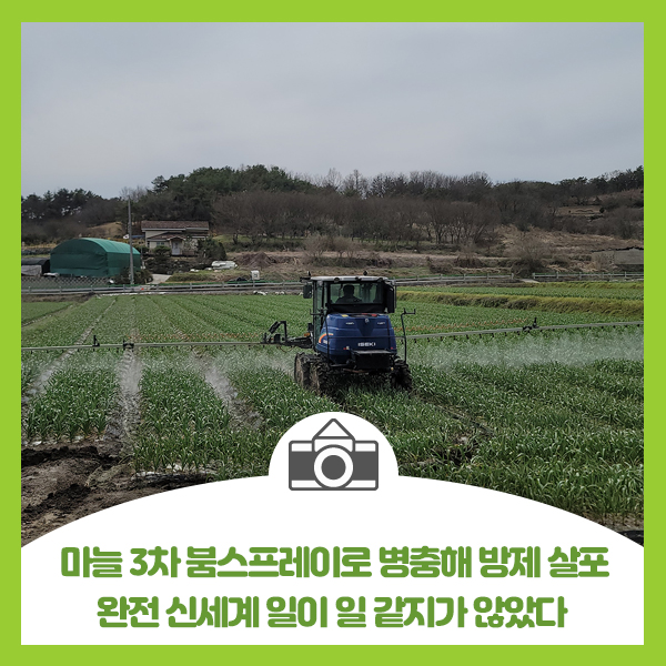  마늘 3차 붐스프레이로 병충해 살포, 완전 신세계, 일이 일 같지가 않았다