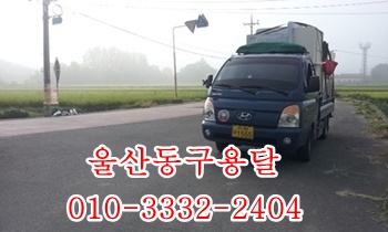 울산동구용달 방어진 정자 울릉도 제주도 양남 감포 양북 울산동구용달 방어진 정자 울릉도 제주도 양남 감포 양북