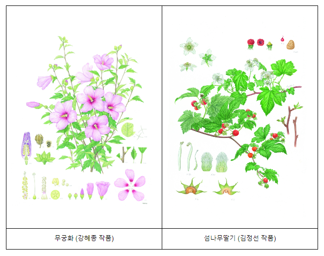 국립수목원, 2025 세계 식물세밀화 전시회를 위한 세밀화 공모전 시작 국립수목원, 2025 세계 식물세밀화 전시회를 위한 세밀화 공모전 시작