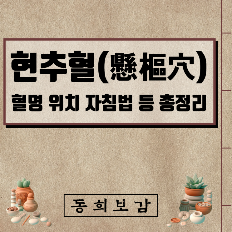  현추혈(懸樞穴) GV5, 소속경맥 혈명 위치 특성 자침법 등 총정리