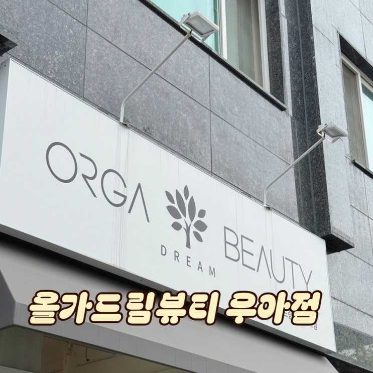  모공디톡스 현미경 피지관리 전주역 근처 피부관리 올가드림뷰티 우아점