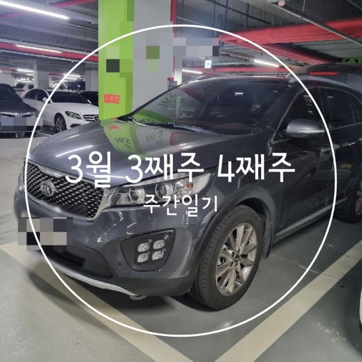  3월 3째주 4째주 주간일기 쏘랭이안녕