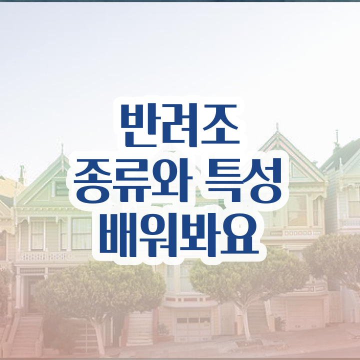  반려조관리사자격증 , 반려조관리사 자격증 무료수강 혜택 정보 및 구인,구직 정보