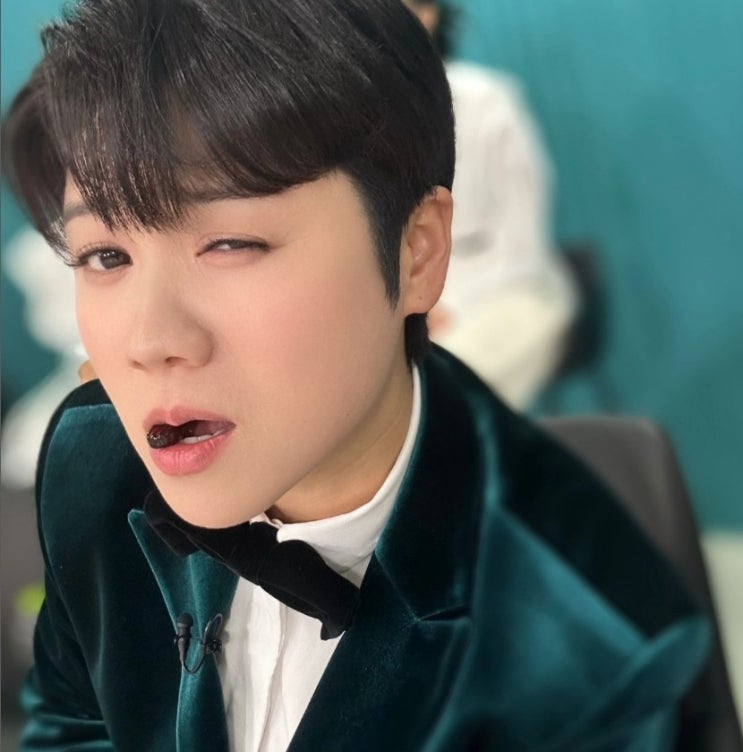 트롯 전국체전, 현역가왕, 헤어, 패션, <b>태권도</b>, 한일 가왕전 출연