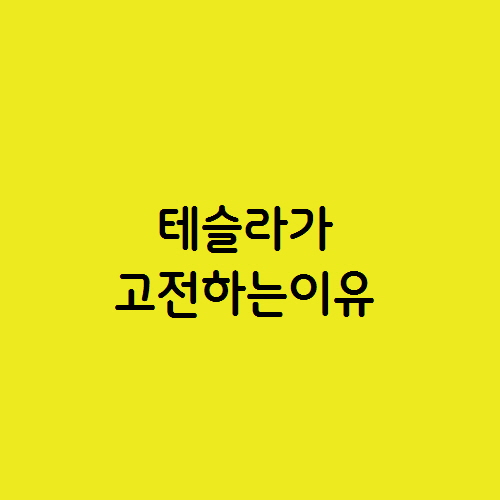  테슬라 TSLA 가 전기차 시장에서 고전하는 이유
