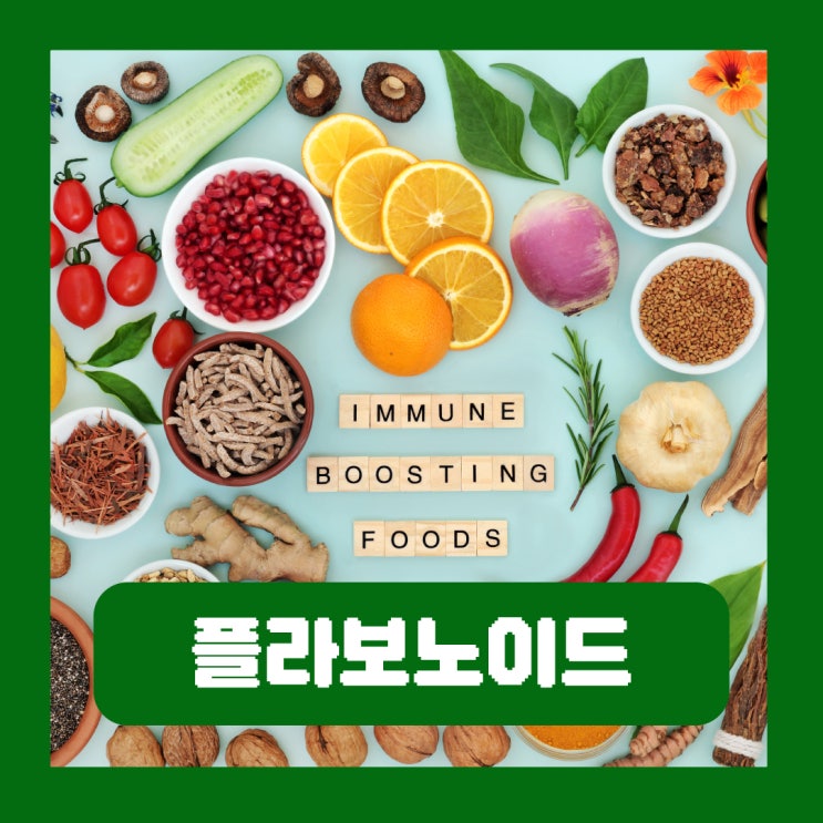  플라보노이드 작용 기전 종류별 음식 효능